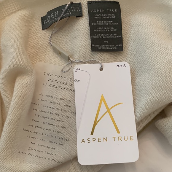 100% Cashmere Pashmina Shawl by Jacqueline Lampert, ASPEN TRUE founder/designer - Picture 6 of 6